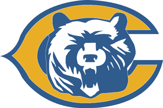 Chicago Bears 1993 Unused Logo cricut iron on